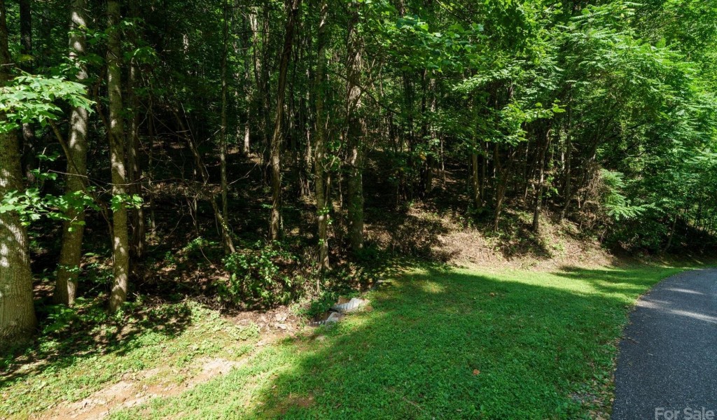 311 And 317 Boundary Tree Pass #12,13, Arden, North Carolina image 14