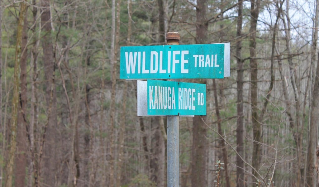000 Wildlife Trail #1.16 ACRES, Hendersonville, North Carolina image 5