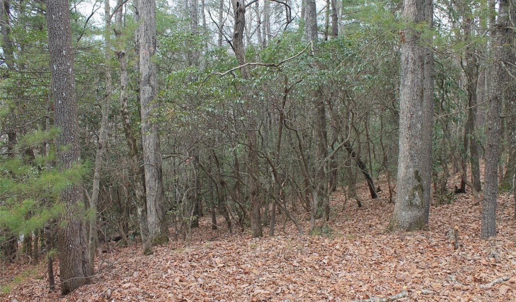 000 Wildlife Trail #2 ACRES, Hendersonville, North Carolina image 5