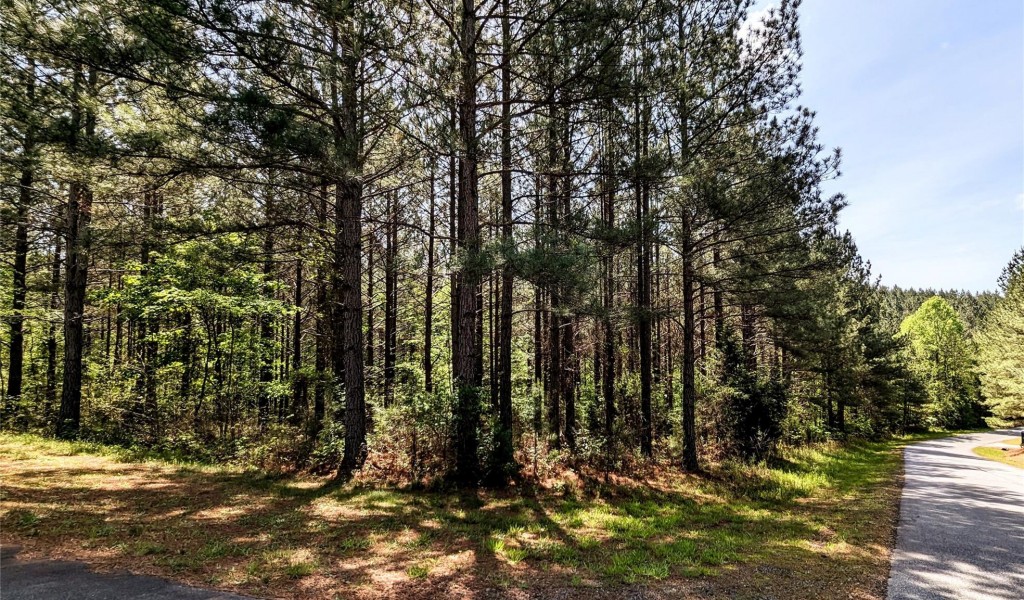 Lot 209 Clearwater Parkway, Rutherfordton, North Carolina image 2