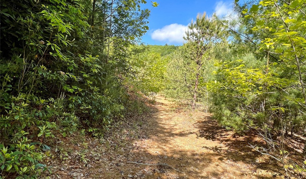 Lot 3A Forest Park Road #3A, Pisgah Forest, North Carolina image 18