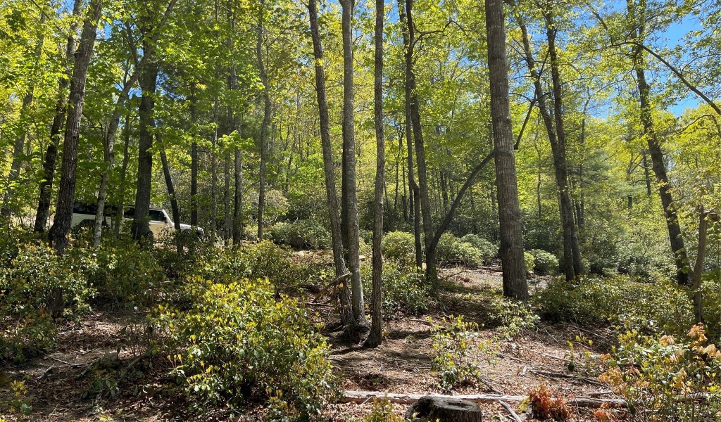 000 Orchard View Trail, Spruce Pine, North Carolina image 14