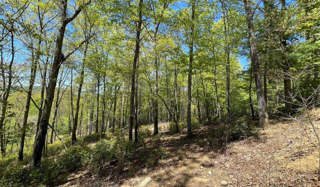 000 Orchard View Trail, Spruce Pine, North Carolina image 4