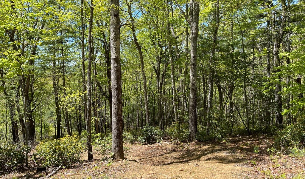 000 Orchard View Trail, Spruce Pine, North Carolina image 18