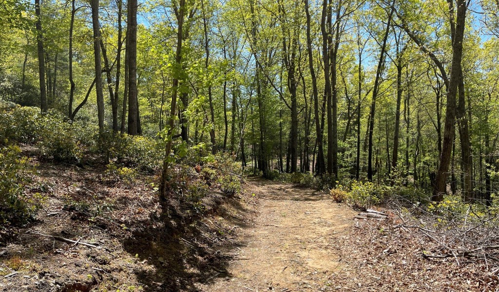 000 Orchard View Trail, Spruce Pine, North Carolina image 17