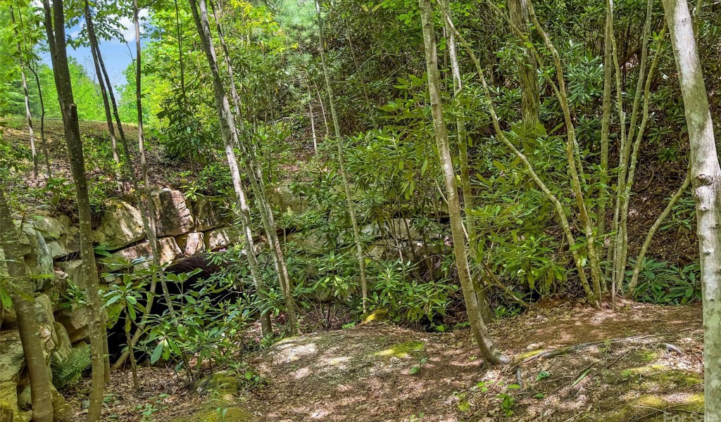 15 Fates Overlook Loop, Black Mountain, North Carolina image 11