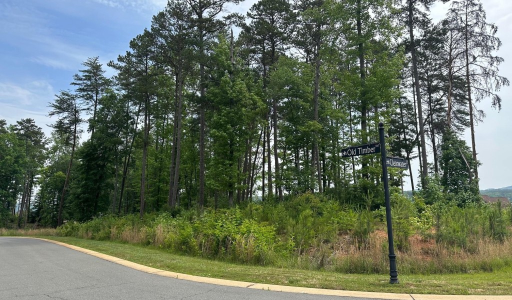 Lot 54R Clearwater Court #54R, Norwood, North Carolina image 29