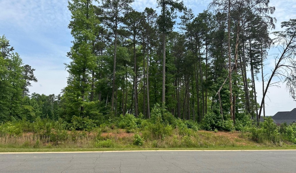 Lot 54R Clearwater Court #54R, Norwood, North Carolina image 27