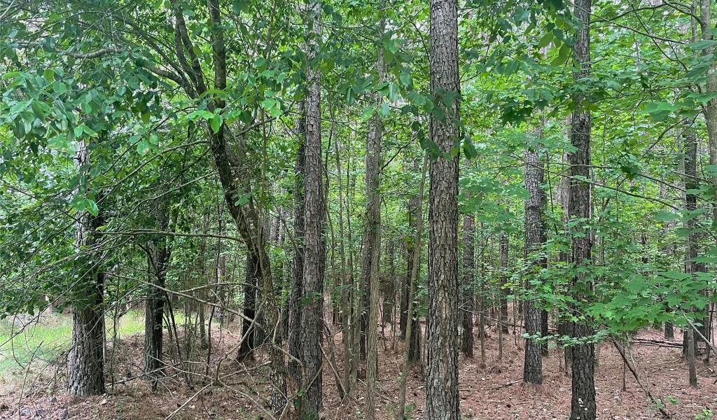 167 Plantation Way, Mount Gilead, North Carolina image 10