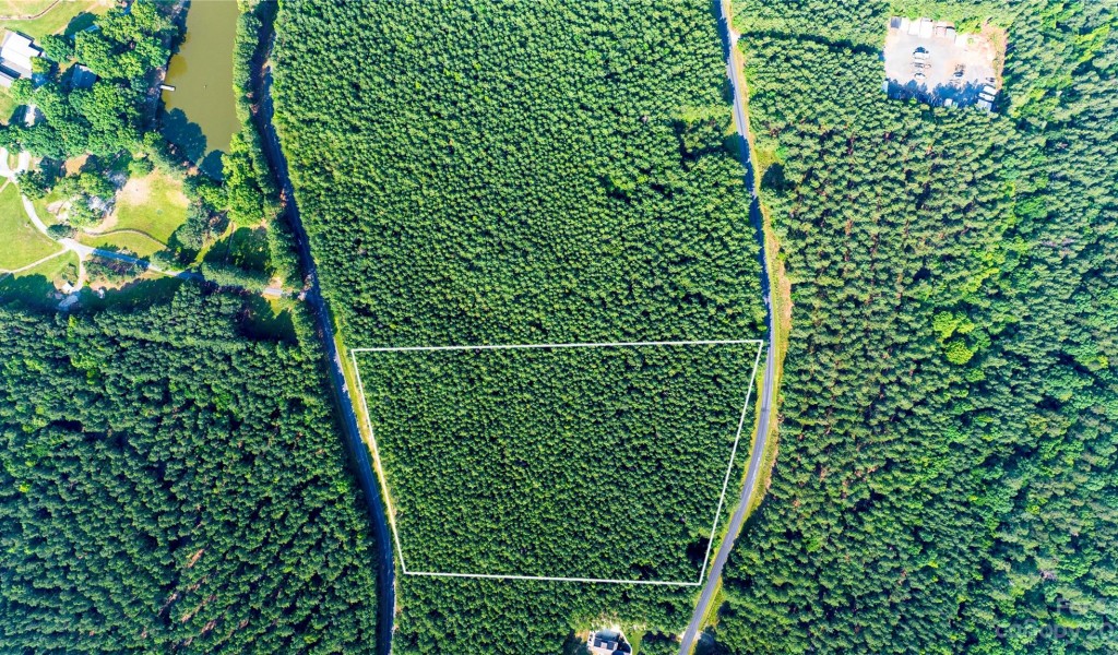 167 Plantation Way, Mount Gilead, North Carolina image 2