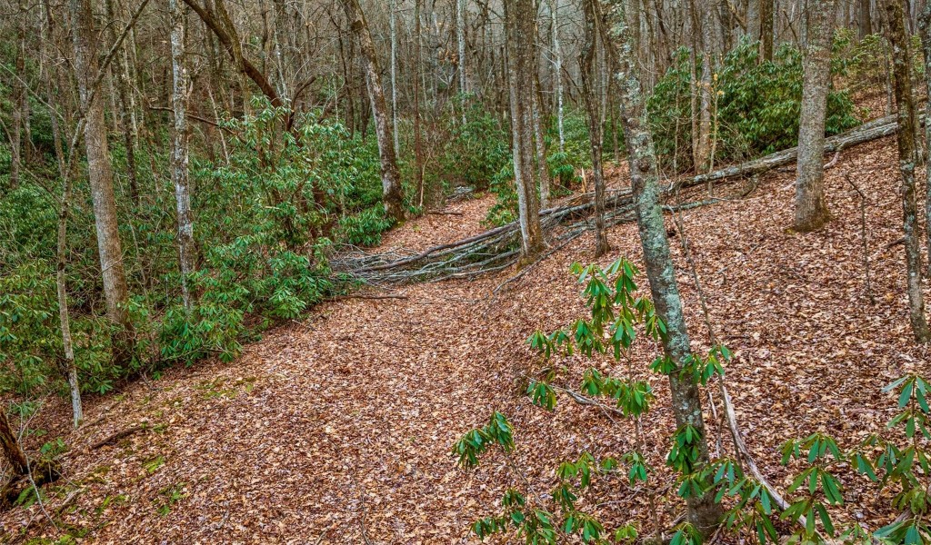 Lot 4 Council Bluff Trail, Black Mountain, North Carolina image 9