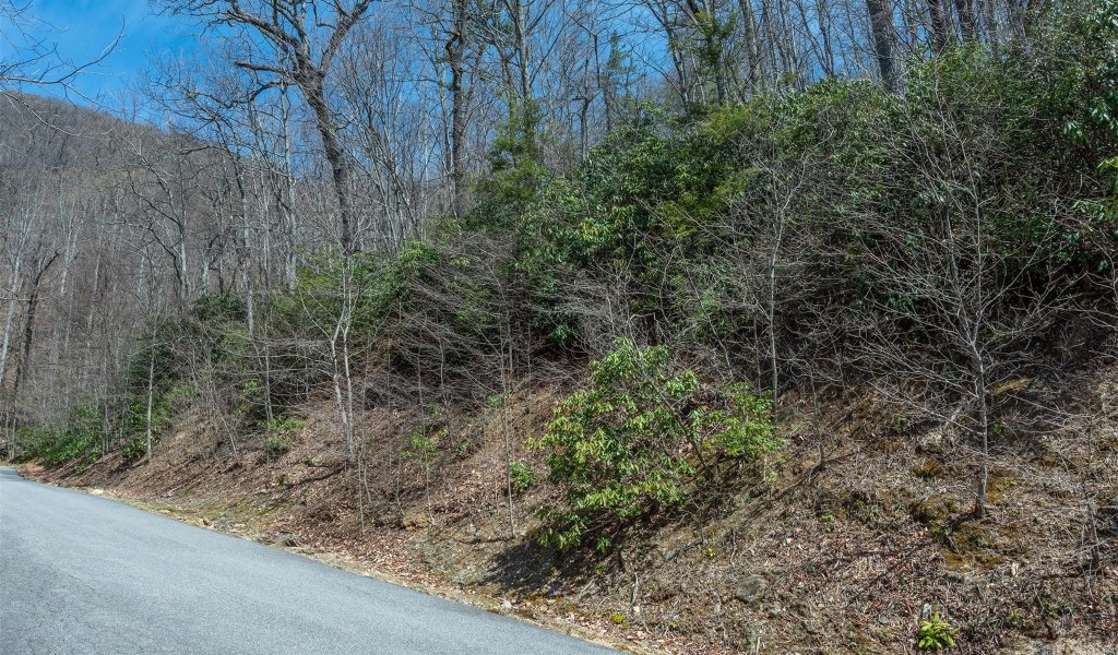 23 Winding Poplar Road #912, Black Mountain, North Carolina image 40