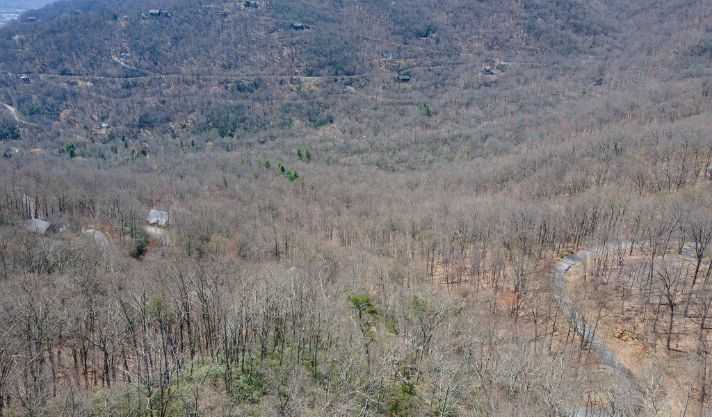 23 Winding Poplar Road #912, Black Mountain, North Carolina image 20