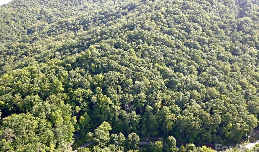 Lot 60 Bear Paw Ridge, Whittier, North Carolina image 3