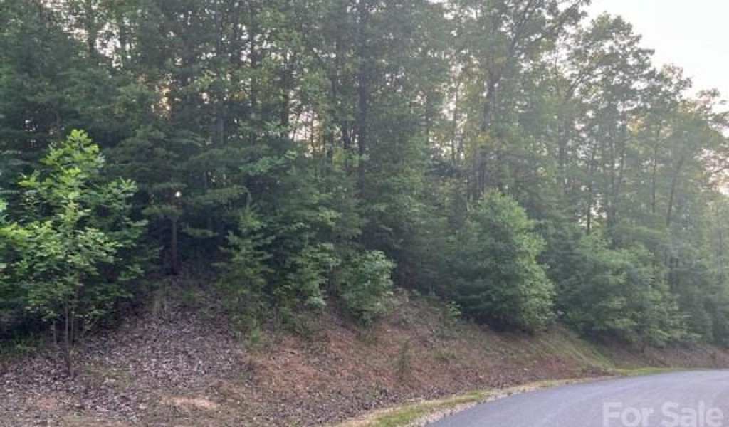 Lot 45 Forest Country Drive #45, Marion, North Carolina image 5