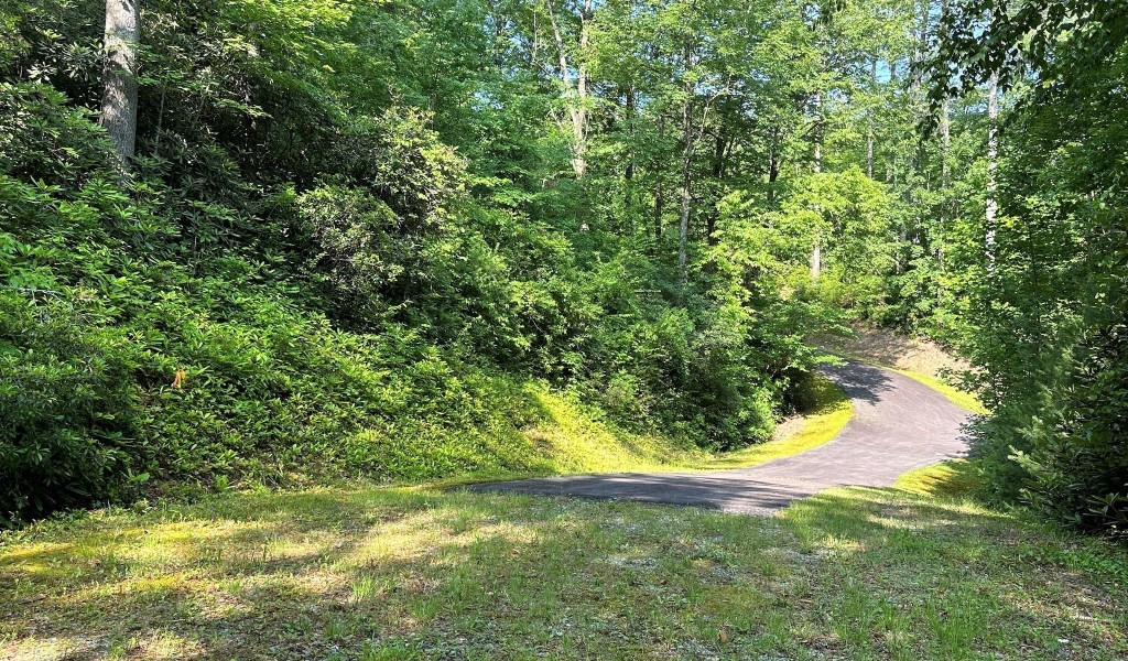 17 Trillium Lane, Rosman, North Carolina image 24