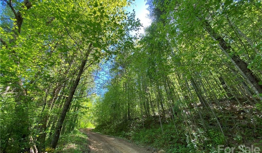 000 Stewart Road, Spruce Pine, North Carolina image 2