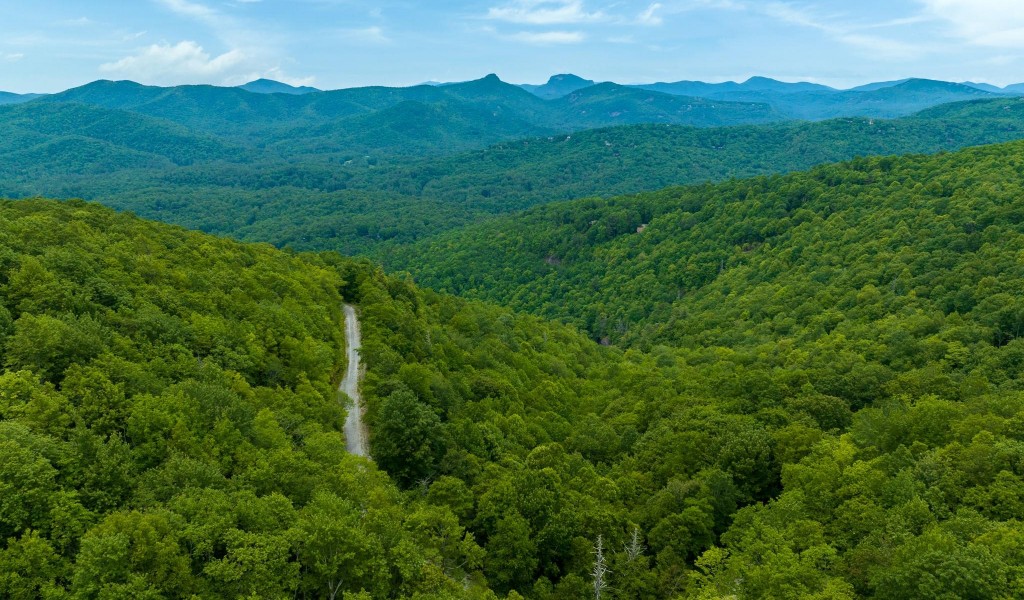10 Tiercel Trail #10, Sapphire, North Carolina image 10