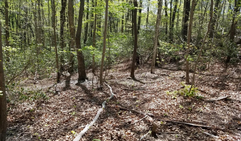0000 Dogwood Trail, Tryon, North Carolina image 7