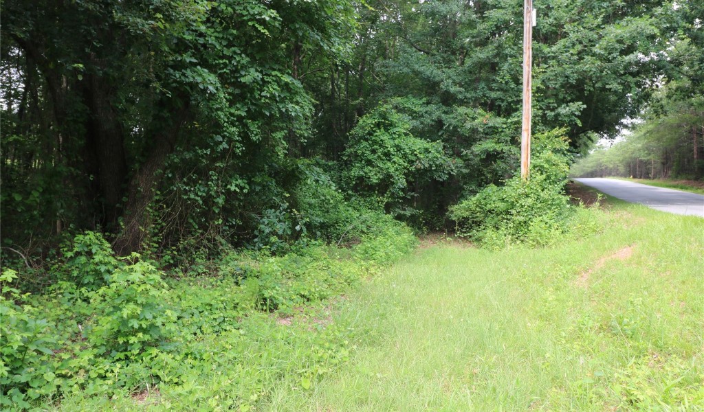 Lot 20 Commercial Drive, Forest City, North Carolina image 1