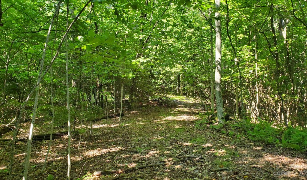 135 Mad Bear Trail, Rosman, North Carolina image 38