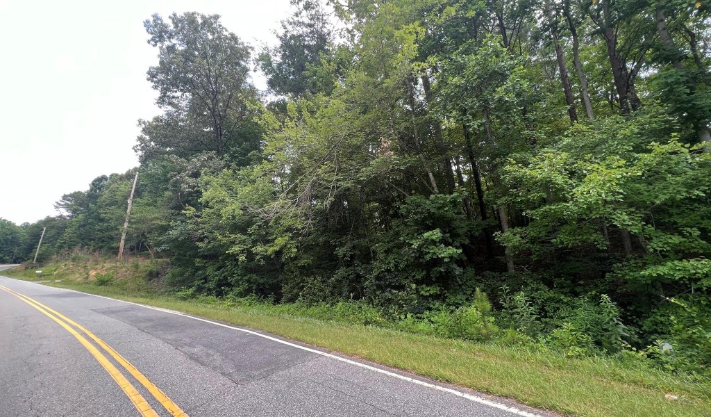 999 Silver Creek Road, Mill Spring, North Carolina image 21