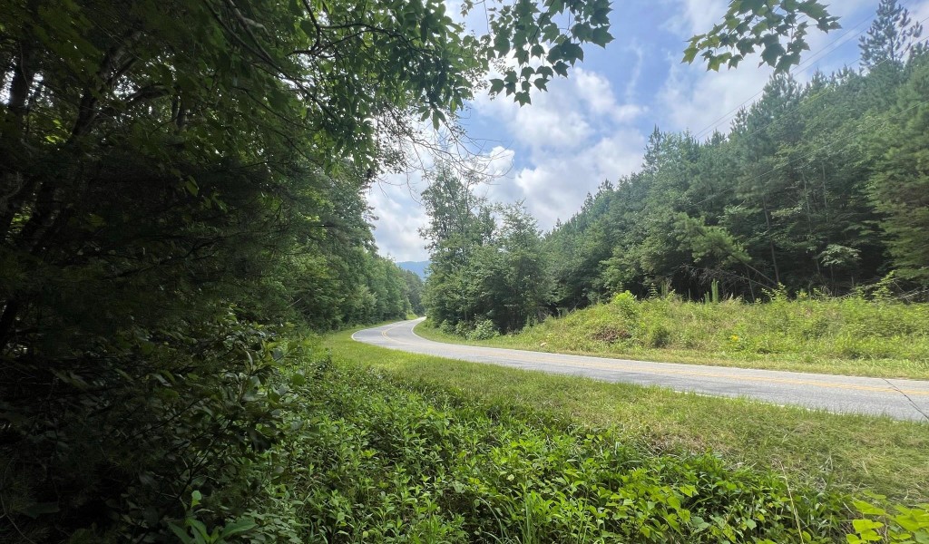 999 Silver Creek Road, Mill Spring, North Carolina image 22
