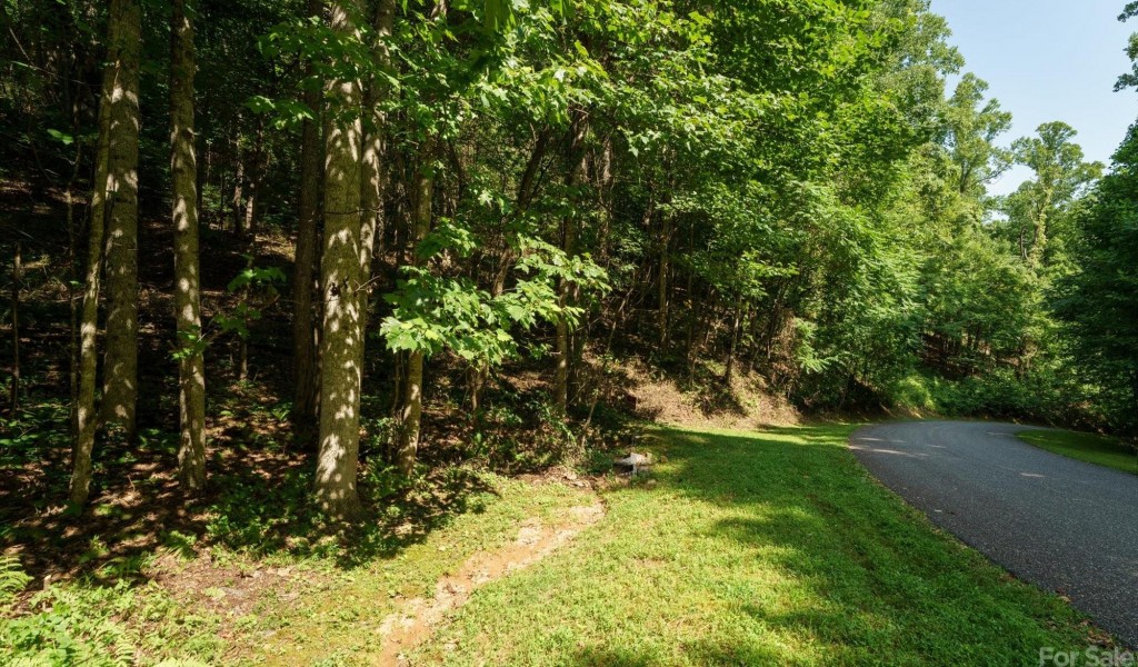 317 Boundary Tree Pass #14, Arden, North Carolina image 11