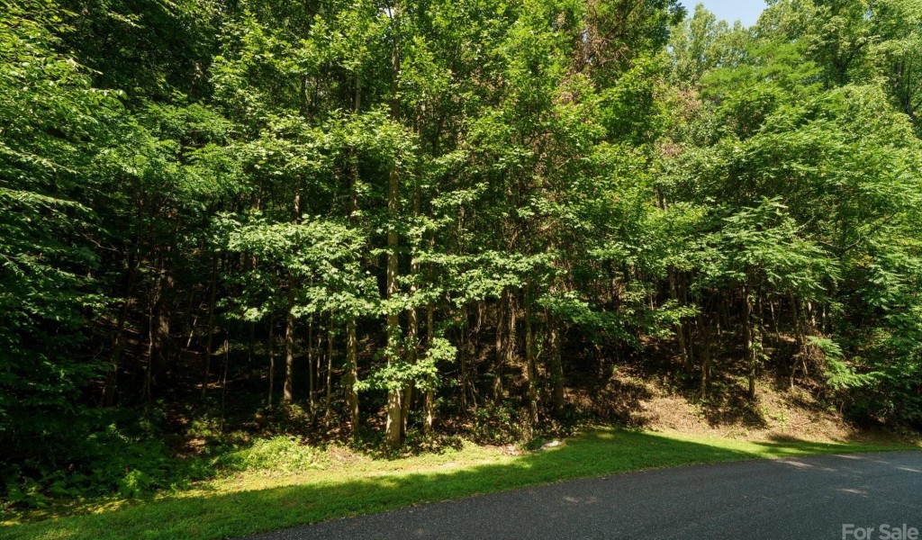 317 Boundary Tree Pass #14, Arden, North Carolina image 9