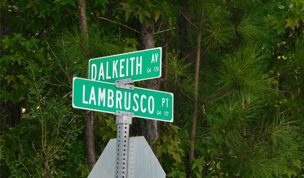 00 Lambrusco Point #61, Rock Hill, South Carolina image 2