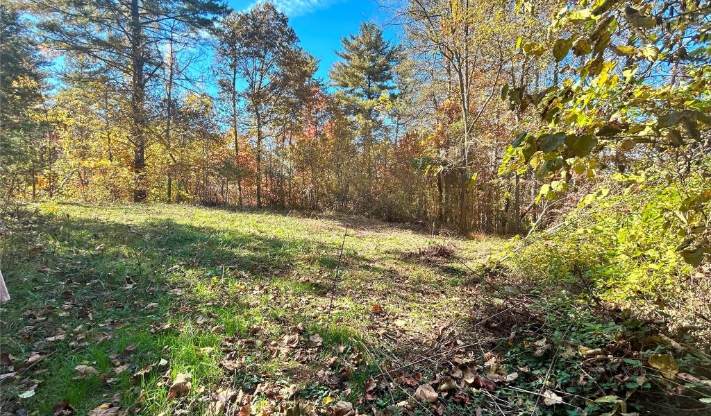 34 Old Homestead Trail #TRACT 4, Weaverville, North Carolina image 4