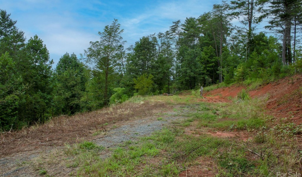 34 Old Homestead Trail #TRACT 4, Weaverville, North Carolina image 8