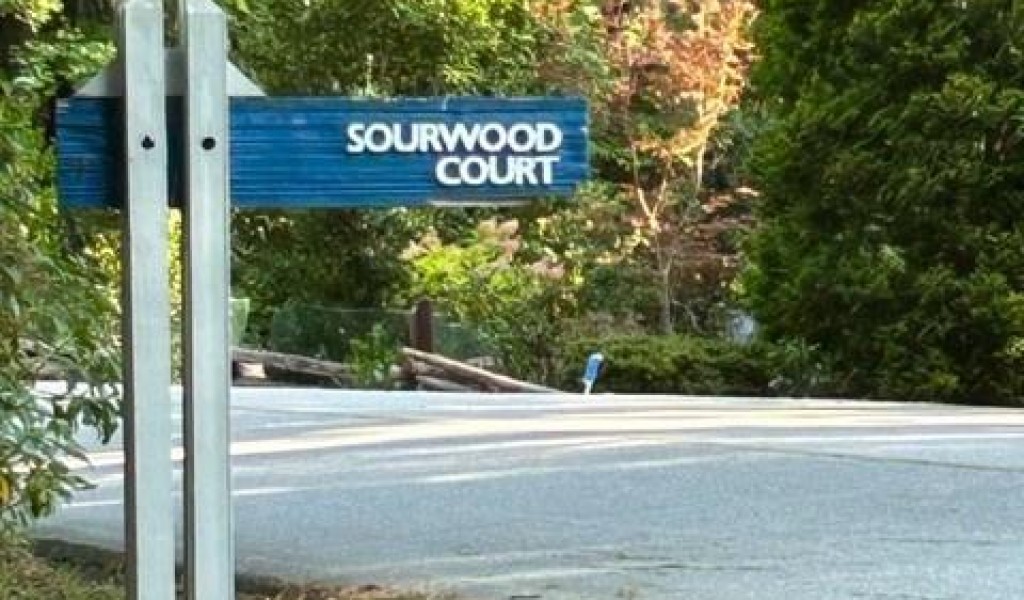 19 Sourwood Court #19, Sapphire, North Carolina image 2