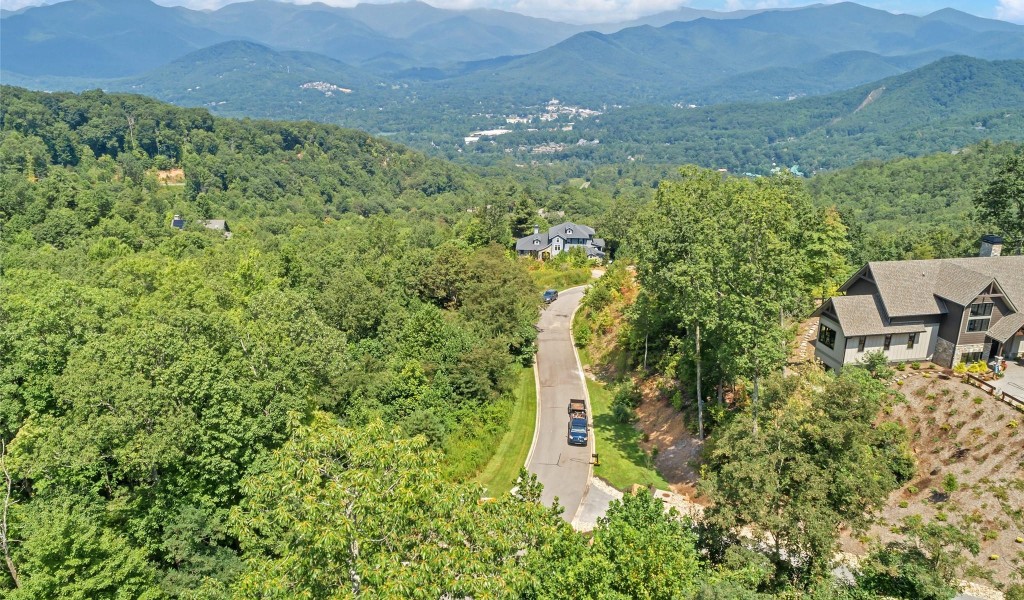 52 Sisters View Drive #163, Black Mountain, North Carolina image 9