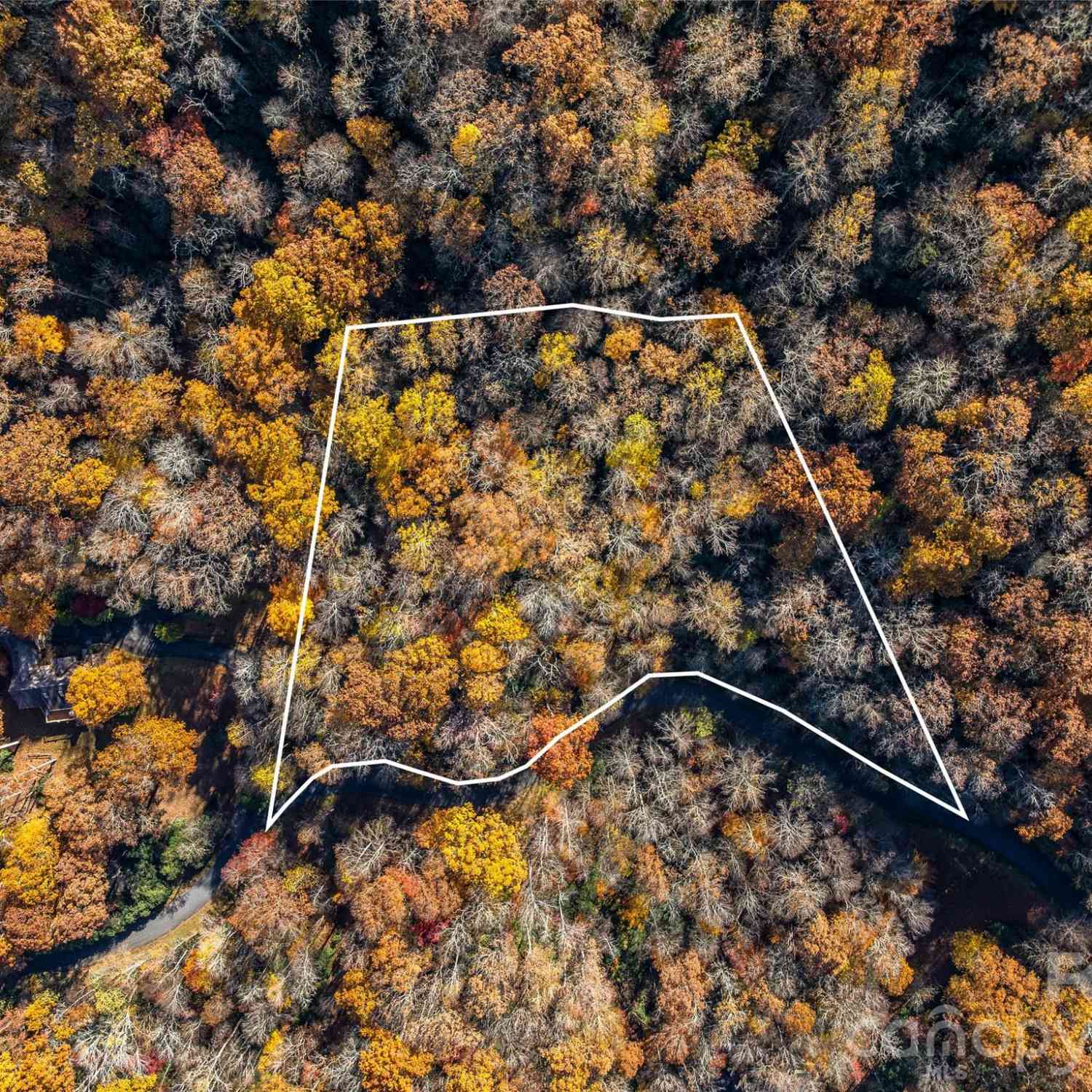 Vacant Land For Sale - 241 Skye Drive<br/> Pisgah Forest, NC 28768