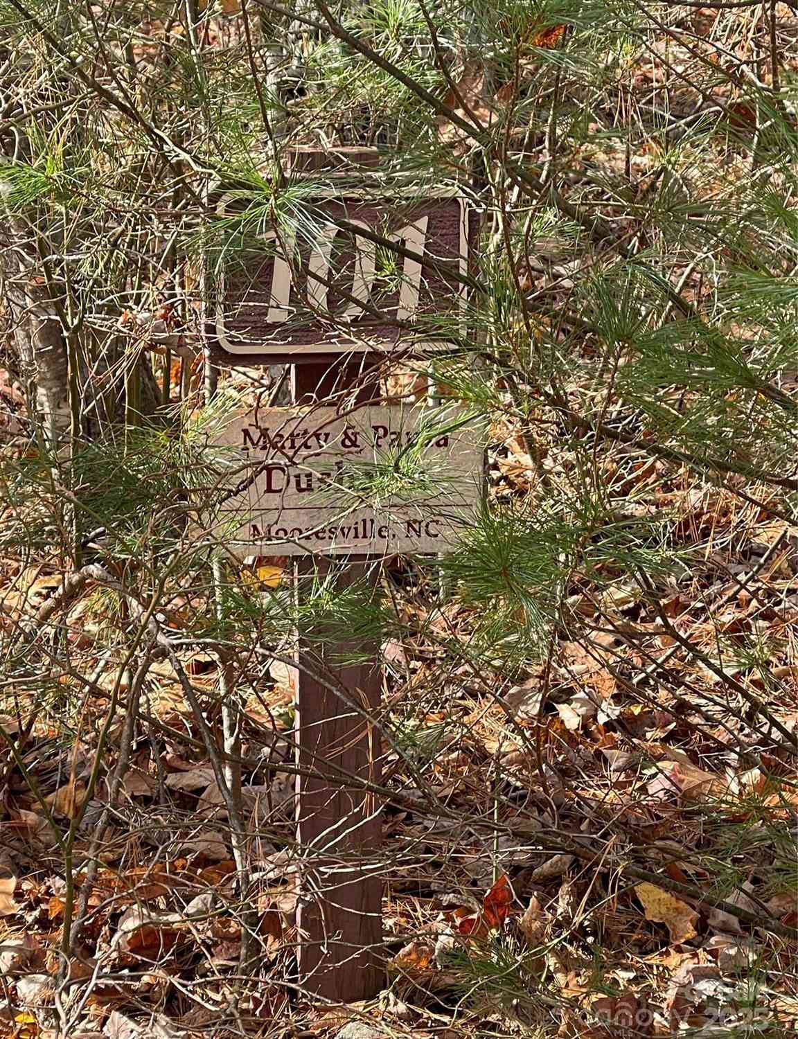 Vacant Land For Sale - 00 Pinnacle Falls Lane<br/> Zirconia, NC 28790