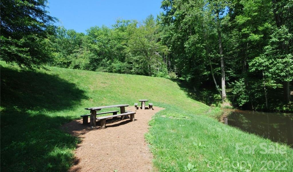 29 Open Ridge Trail, Pisgah Forest, North Carolina image 17