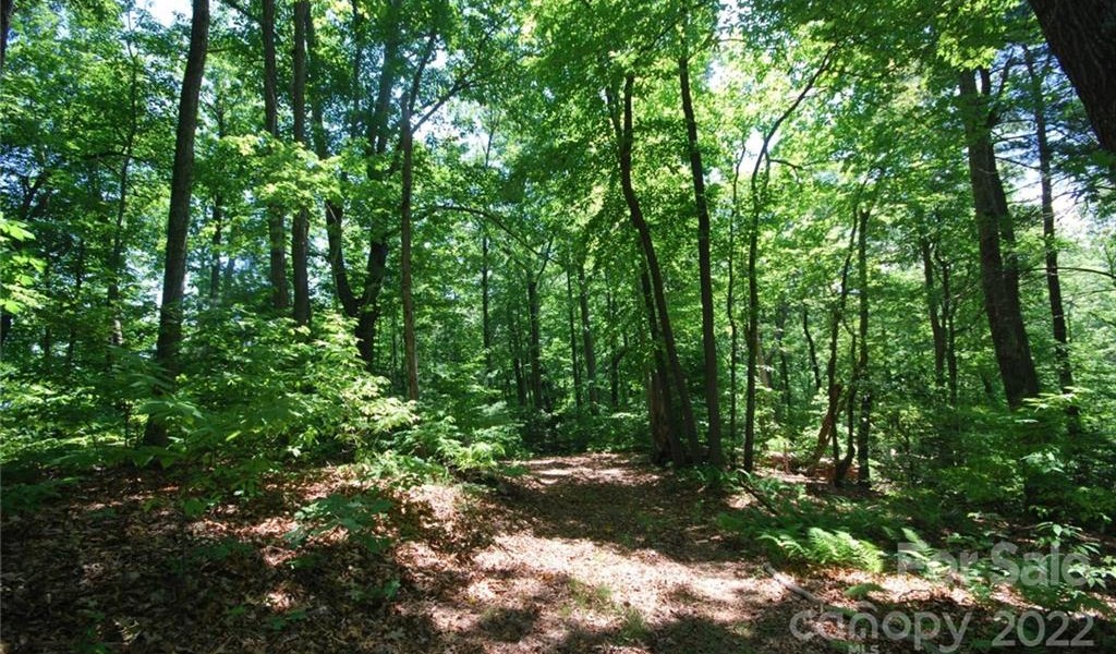 29 Open Ridge Trail, Pisgah Forest, North Carolina image 3