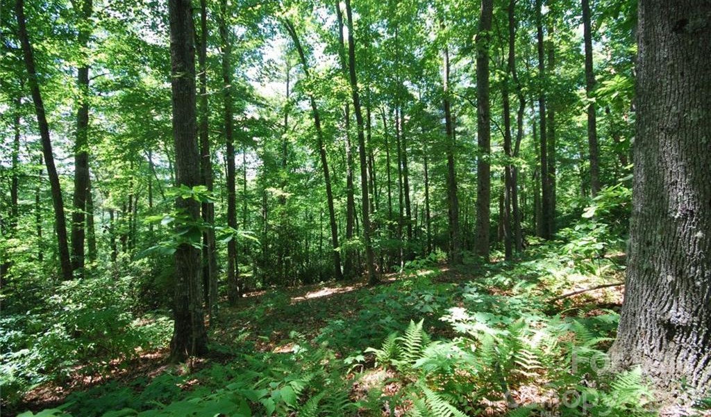 29 Open Ridge Trail, Pisgah Forest, North Carolina image 4