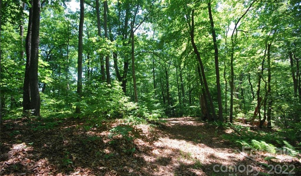 29 Open Ridge Trail, Pisgah Forest, North Carolina image 2