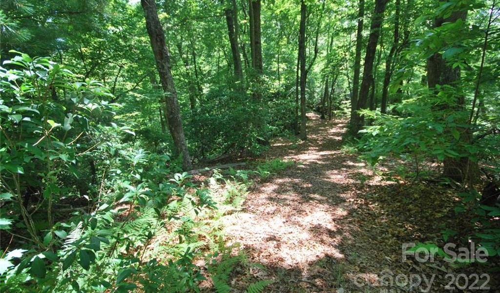 29 Open Ridge Trail, Pisgah Forest, North Carolina image 8