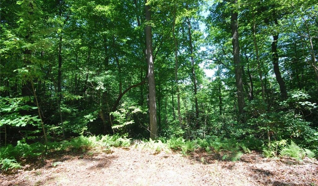 29 Open Ridge Trail, Pisgah Forest, North Carolina image 10