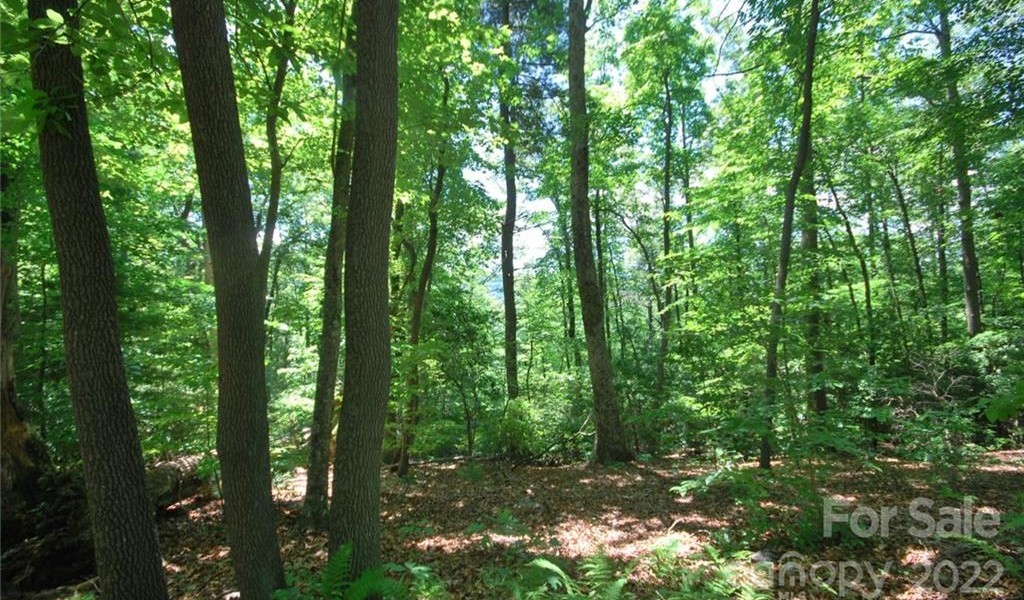 29 Open Ridge Trail, Pisgah Forest, North Carolina image 5