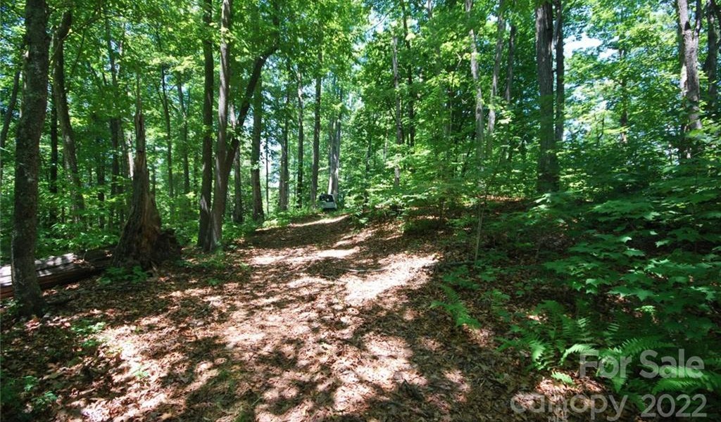 29 Open Ridge Trail, Pisgah Forest, North Carolina image 9