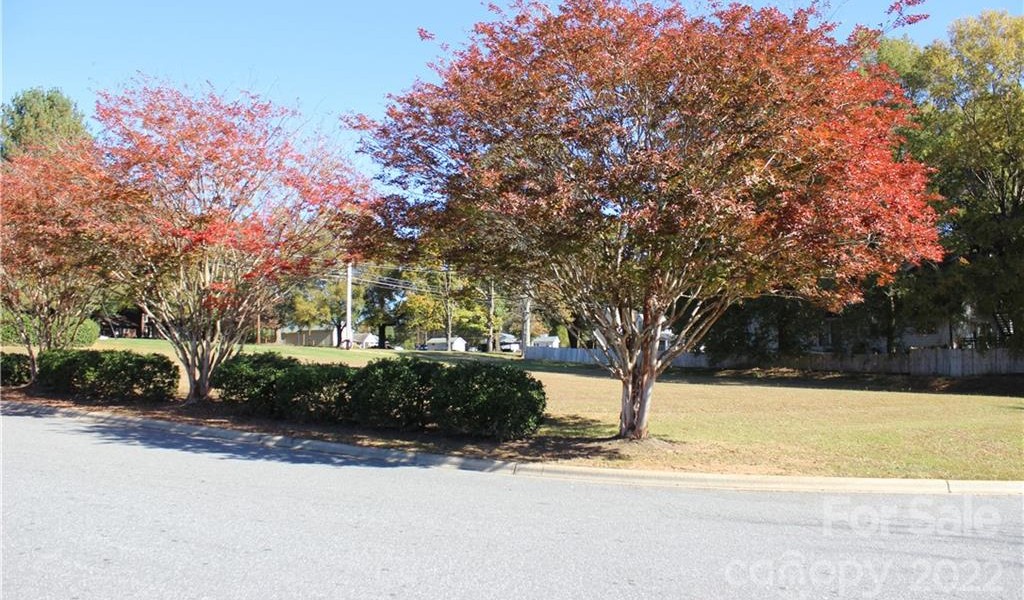 9C Main Avenue, Taylorsville, North Carolina image 1