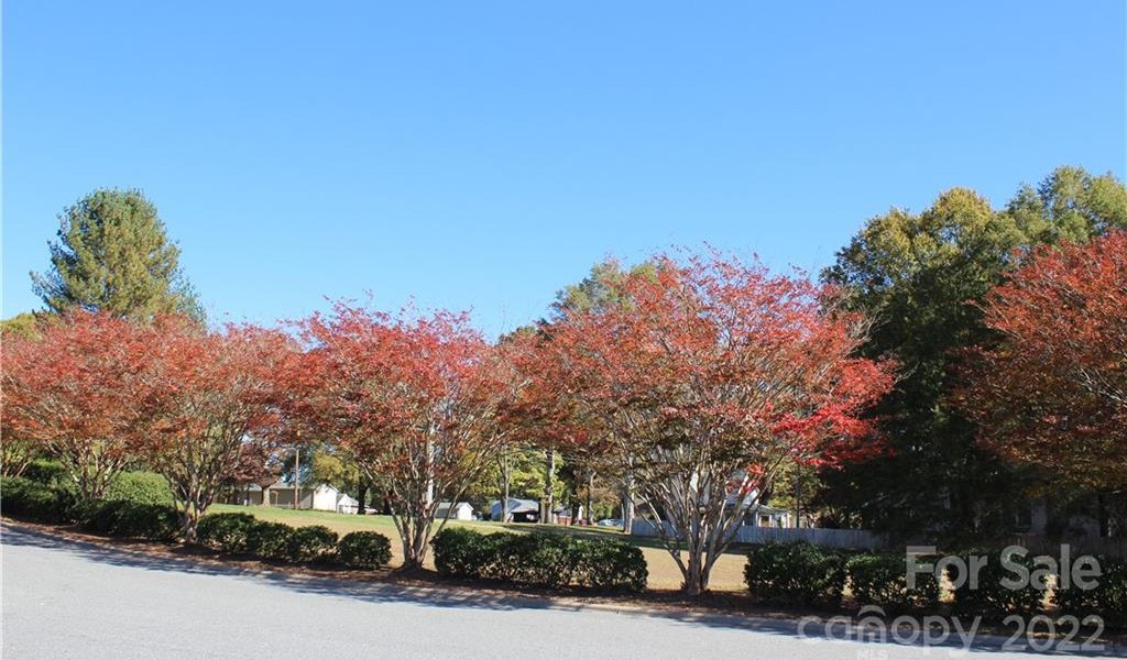 9C Main Avenue, Taylorsville, North Carolina image 9