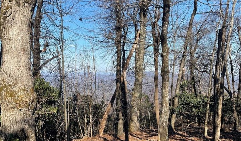 129 High Cliffs Trail #20, Black Mountain, North Carolina image 7