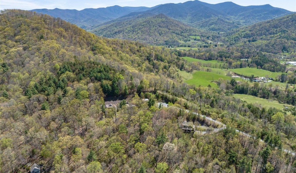 88 Courseview Drive #239, Weaverville, North Carolina image 16