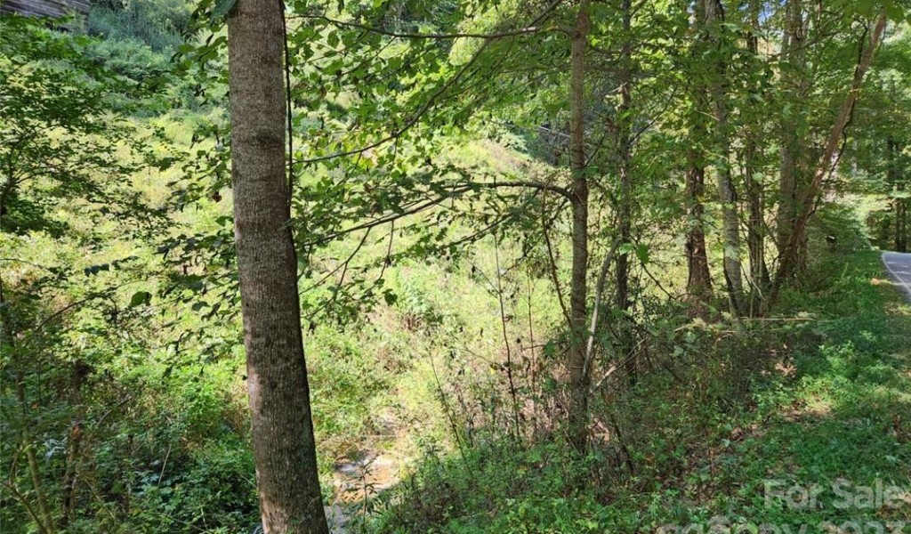 0000 Coxes Creek Road, Burnsville, North Carolina image 5