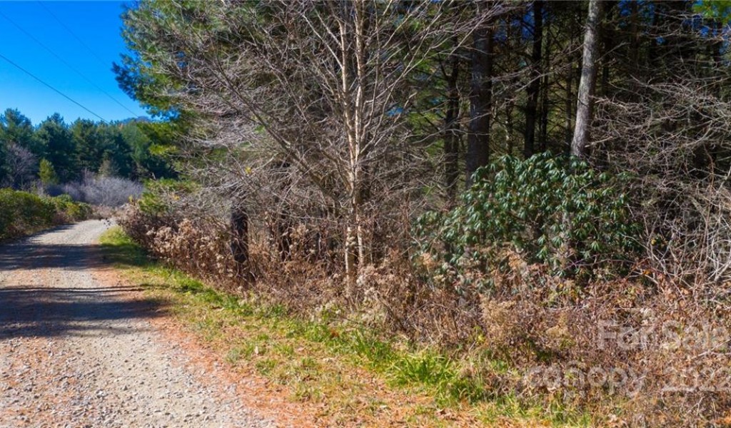 197 Eagle Bald Trail #LOT 34, Burnsville, North Carolina image 4
